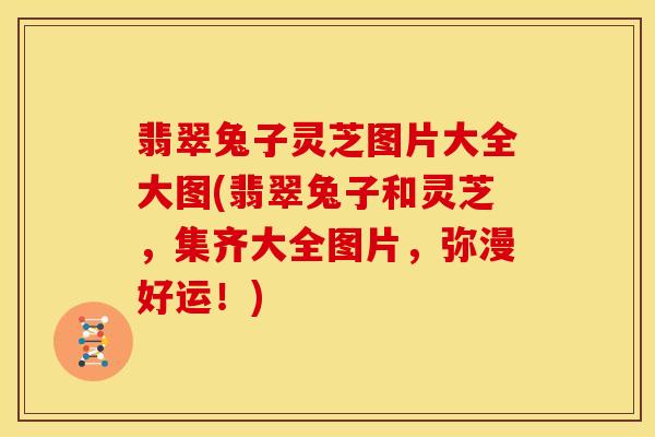 翡翠兔子灵芝图片大全大图(翡翠兔子和灵芝,集齐大全图片,弥漫好运!)