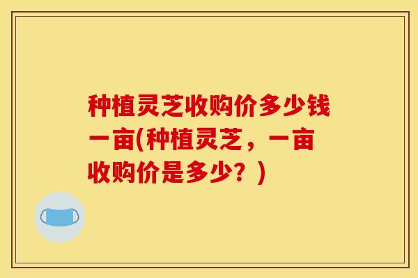种植灵芝收购价多少钱一亩(种植灵芝,一亩收购价是多少?)
