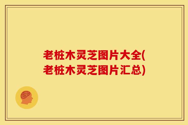 老桩木灵芝图片大全(老桩木灵芝图片汇总)