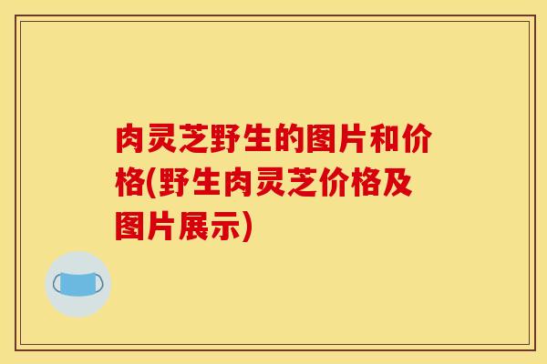 肉灵芝野生的图片和价格(野生肉灵芝价格及图片展示)