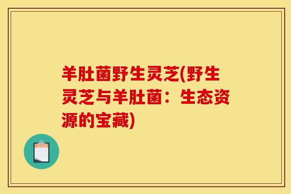 羊肚菌野生灵芝(野生灵芝与羊肚菌:生态资源的宝藏)