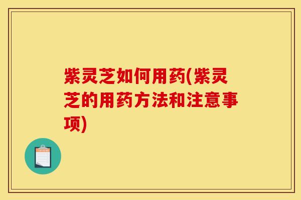 紫灵芝如何用药(紫灵芝的用药方法和注意事项)