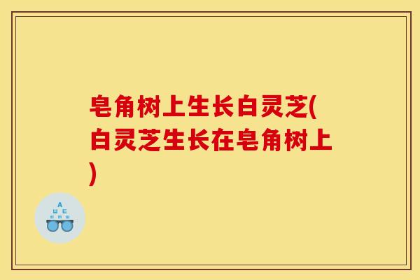 皂角树上生长白灵芝(白灵芝生长在皂角树上)