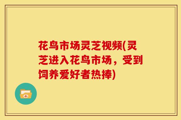 花鸟市场灵芝视频(灵芝进入花鸟市场,受到饲养爱好者热捧)