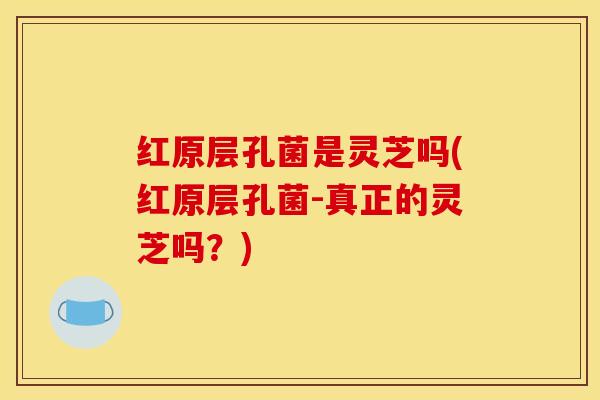 红原层孔菌是灵芝吗(红原层孔菌-真正的灵芝吗？)
