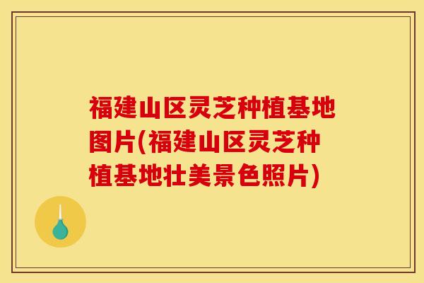 福建山区灵芝种植基地图片(福建山区灵芝种植基地壮美景色照片)
