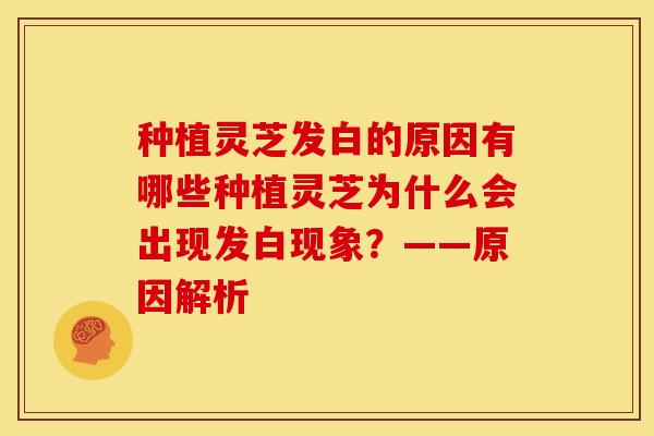 种植灵芝发白的原因有哪些种植灵芝为什么会出现发白现象？——原因解析