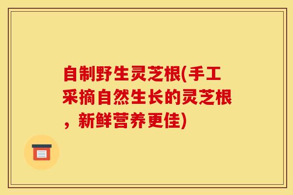 自制野生灵芝根(手工采摘自然生长的灵芝根，新鲜营养更佳)