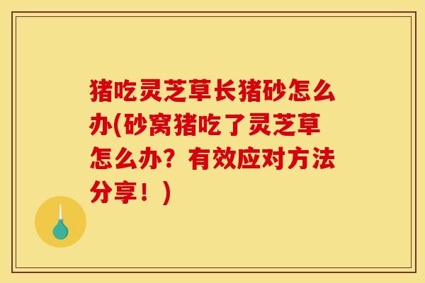 猪吃灵芝草长猪砂怎么办(砂窝猪吃了灵芝草怎么办?有效应对方法分享!)
