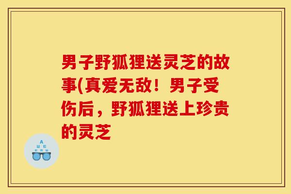 男子野狐狸送灵芝的故事(真爱无敌！男子受伤后，野狐狸送上珍贵的灵芝