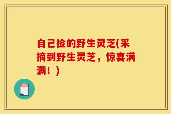 自己捡的野生灵芝(采摘到野生灵芝,惊喜满满!)