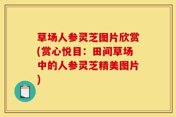 草场人参灵芝图片欣赏(赏心悦目:田间草场中的人参灵芝精美图片)