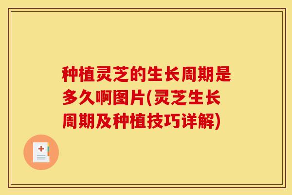种植灵芝的生长周期是多久啊图片(灵芝生长周期及种植技巧详解)