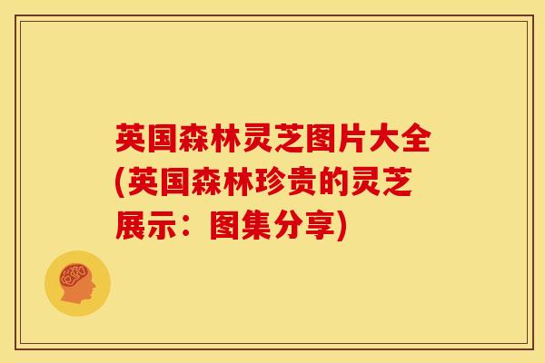 英国森林灵芝图片大全(英国森林珍贵的灵芝展示：图集分享)