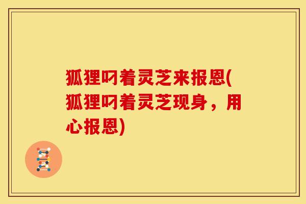 狐狸叼着灵芝来报恩(狐狸叼着灵芝现身,用心报恩)