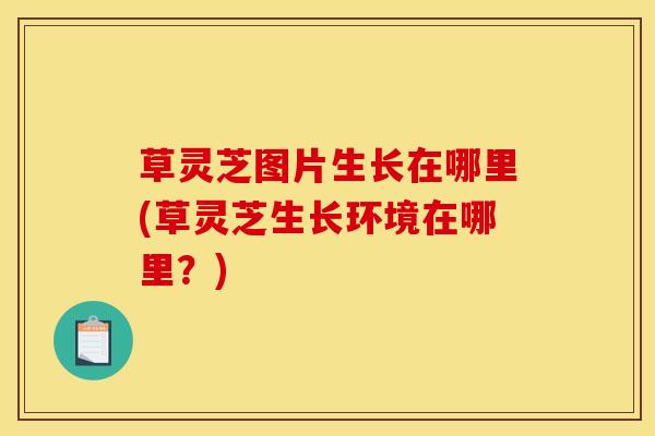 草灵芝图片生长在哪里(草灵芝生长环境在哪里?)