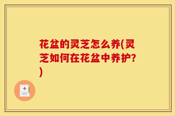 花盆的灵芝怎么养(灵芝如何在花盆中养护?)