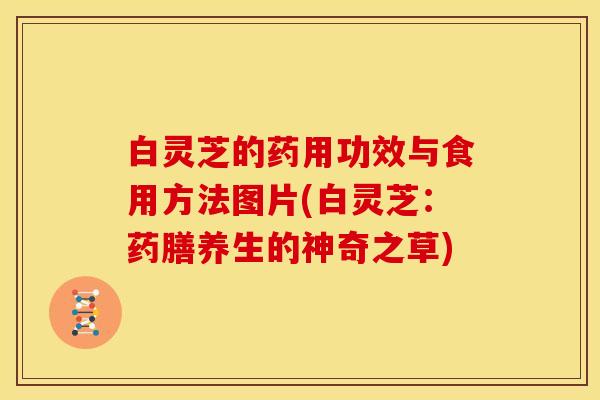白灵芝的药用功效与食用方法图片(白灵芝：药膳养生的神奇之草)