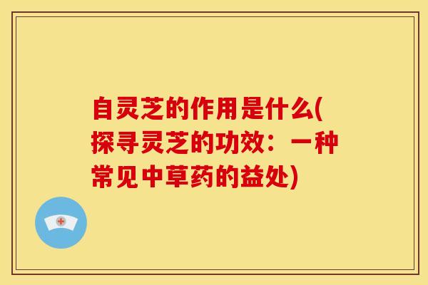 自灵芝的作用是什么(探寻灵芝的功效:一种常见中草药的益处)