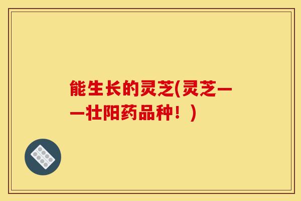 能生长的灵芝(灵芝——壮阳药品种!)