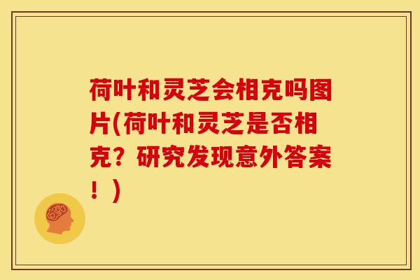 荷叶和灵芝会相克吗图片(荷叶和灵芝是否相克？研究发现意外答案！)