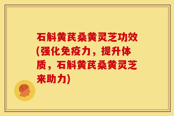 石斛黄芪桑黄灵芝功效(强化免疫力,提升体质,石斛黄芪桑黄灵芝来助力)