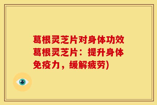 葛根灵芝片对身体功效葛根灵芝片:提升身体免疫力,缓解疲劳)