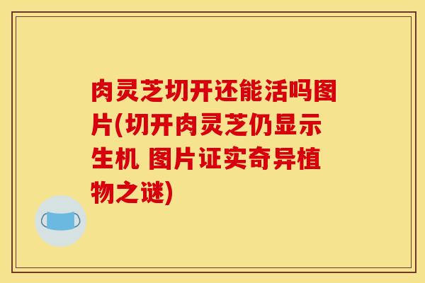 肉灵芝切开还能活吗图片(切开肉灵芝仍显示生机 图片证实奇异植物之谜)