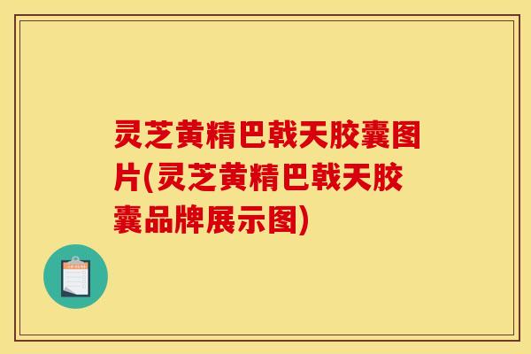 灵芝黄精巴戟天胶囊图片(灵芝黄精巴戟天胶囊品牌展示图)