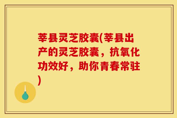 莘县灵芝胶囊(莘县出产的灵芝胶囊,抗氧化功效好,助你青春常驻)