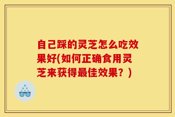 自己踩的灵芝怎么吃效果好(如何正确食用灵芝来获得最佳效果？)