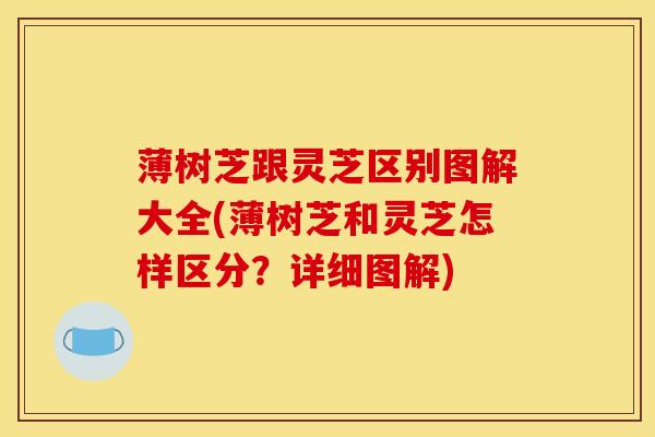 薄树芝跟灵芝区别图解大全(薄树芝和灵芝怎样区分?详细图解)