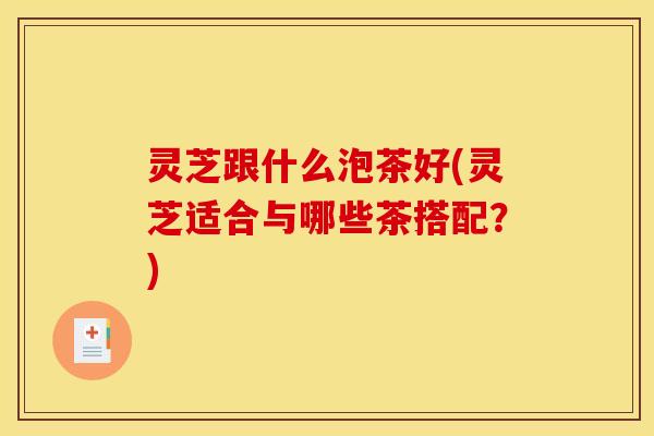 灵芝跟什么泡茶好(灵芝适合与哪些茶搭配?)