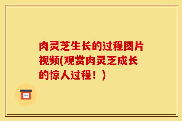 肉灵芝生长的过程图片视频(观赏肉灵芝成长的惊人过程！)