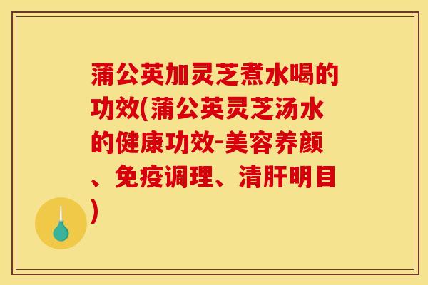 蒲公英加灵芝煮水喝的功效(蒲公英灵芝汤水的健康功效-美容养颜、免疫调理、清肝明目)