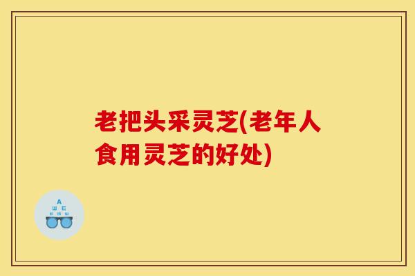 老把头采灵芝(老年人食用灵芝的好处)