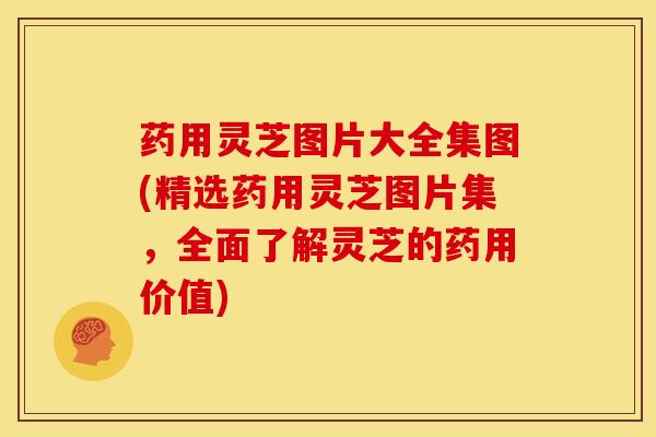 药用灵芝图片大全集图(精选药用灵芝图片集,全面了解灵芝的药用价值)
