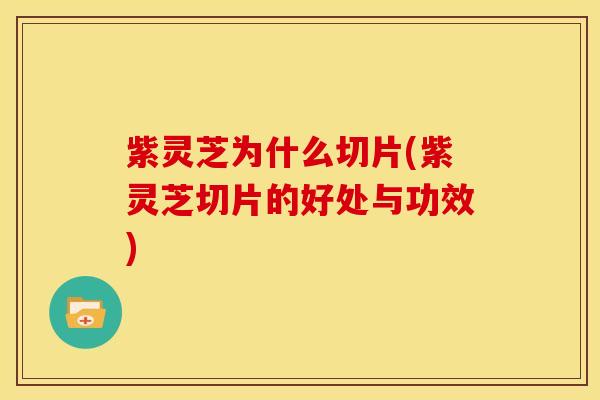 紫灵芝为什么切片(紫灵芝切片的好处与功效)