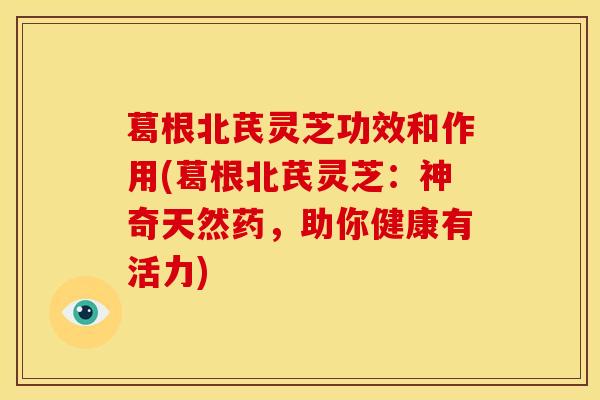 葛根北芪灵芝功效和作用(葛根北芪灵芝:神奇天然药,助你健康有活力)