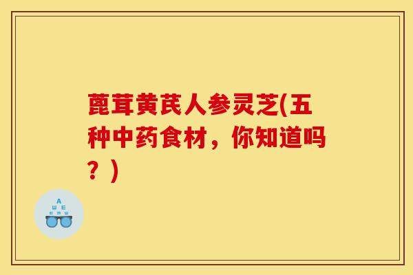 蓖茸黄芪人参灵芝(五种中药食材,你知道吗?)