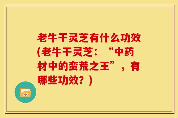 老牛干灵芝有什么功效(老牛干灵芝：“中药材中的蛮荒之王”，有哪些功效？)
