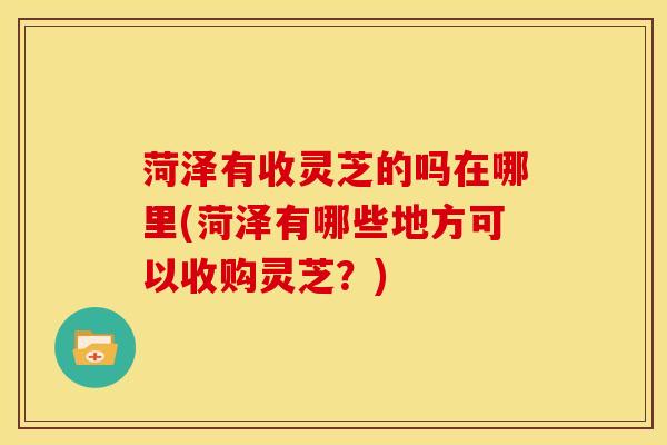 菏泽有收灵芝的吗在哪里(菏泽有哪些地方可以收购灵芝?)