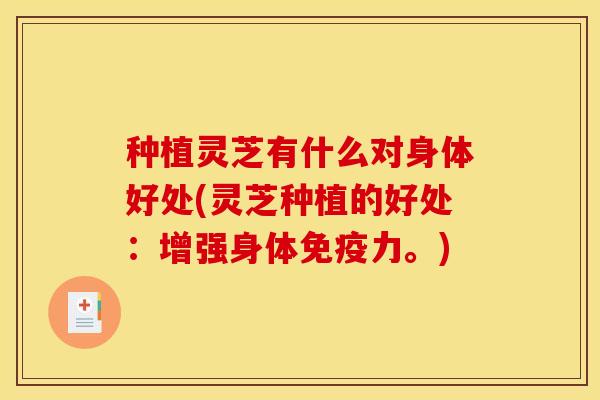 种植灵芝有什么对身体好处(灵芝种植的好处:增强身体免疫力。)