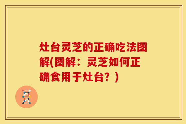 灶台灵芝的正确吃法图解(图解:灵芝如何正确食用于灶台?)