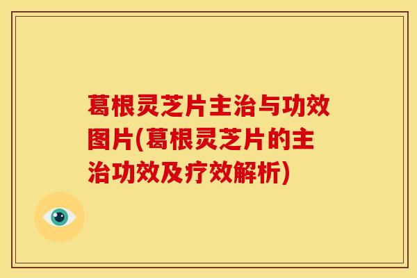 葛根灵芝片主治与功效图片(葛根灵芝片的主治功效及疗效解析)
