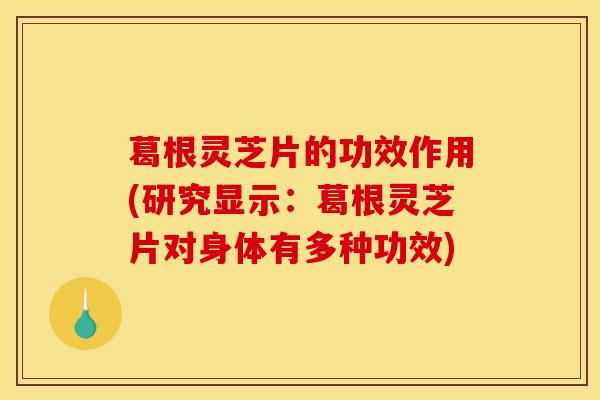 葛根灵芝片的功效作用(研究显示:葛根灵芝片对身体有多种功效)