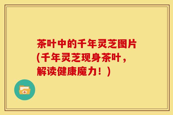 茶叶中的千年灵芝图片(千年灵芝现身茶叶，解读健康魔力！)