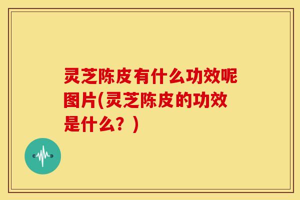 灵芝陈皮有什么功效呢图片(灵芝陈皮的功效是什么?)