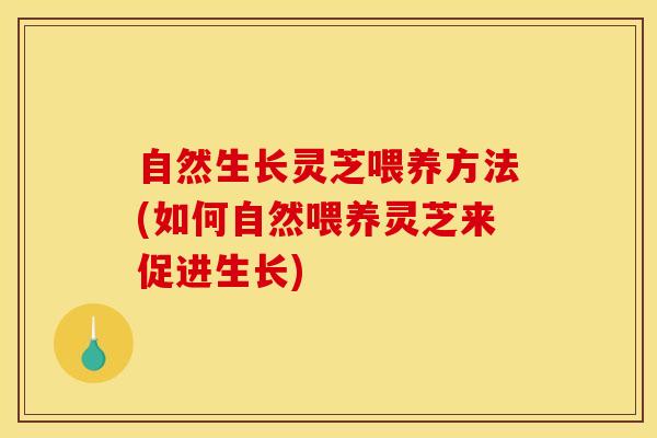 自然生长灵芝喂养方法(如何自然喂养灵芝来促进生长)