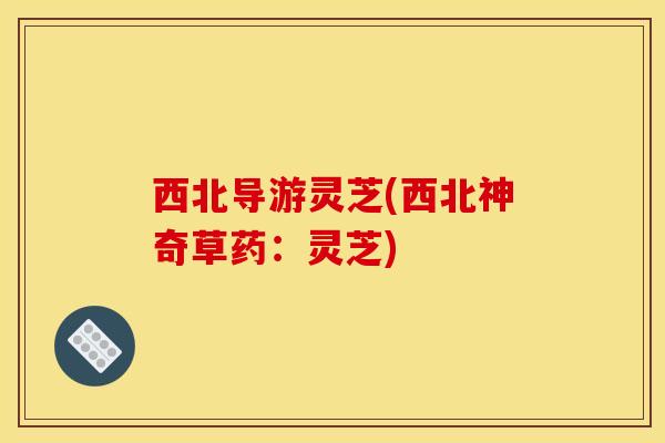 西北导游灵芝(西北神奇草药:灵芝)